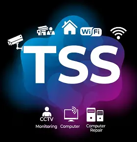 TecSecSolution Logo